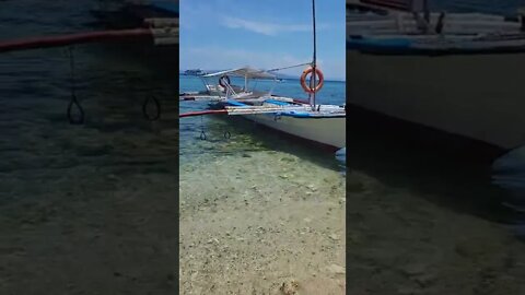 Puerto galera Dive Boat - Dive Puerto Galera