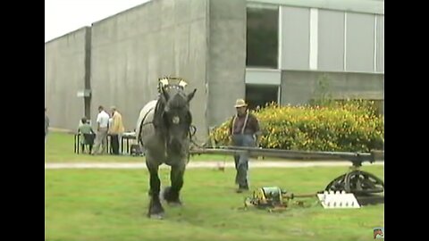 Horse Mill - Generating Electricity With Horses