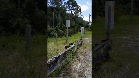 Tiger Bay State Forest Daytona Beach, Florida