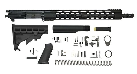 $400 Palmetto State Armory AR15 Build Kit Accuracy feat. Primary Arms SLx MD-25 Microdot Gen II