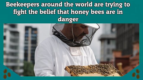 Beekeepers around the world are trying to fight the belief that honey bees are in danger