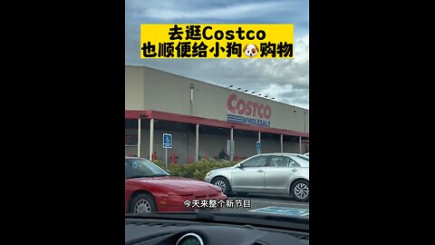 Tiger's daily (shopping @ Costco)