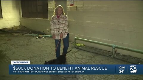 Donor gives $500K to Detroit dog shelter that was broken into, shelter is asking for more to build safer home