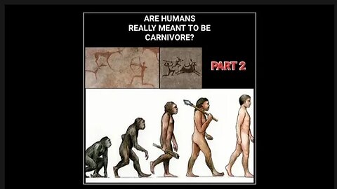 Are human's really meant to be carnivore? | Part 2