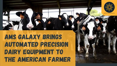 AMS Galaxy brings automated precision dairy equipment to the North American farmer