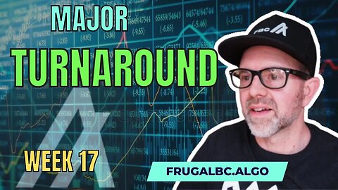 Did XRP just help our experiment? | Algorand DeFI experiment, week 17