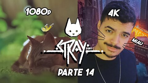 O JOGO DO GATO - Stray- PARTE 14