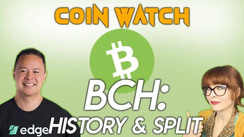 BCH: history, and recent split