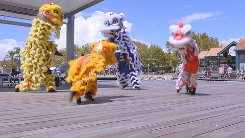 Lion Dance Drumming Chung Wah CNY Sorrento Beach Chinese New Year Australia