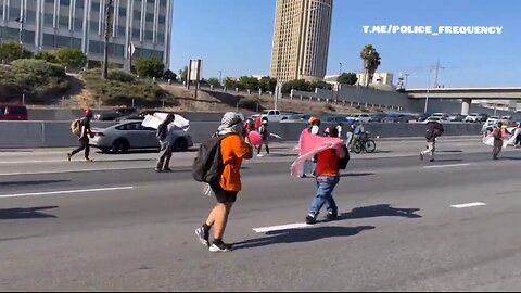 Pro-Hamas protesters burn 🔥 an American 🇺🇸 flag on the 101 Fwy in LA