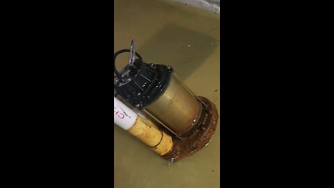 Flooded Basement