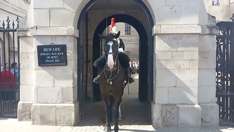 horse's change over #horseguardsparade