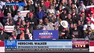 U.S. Senate Candidate (GA) Herschel Walker: “We need to get men out of women’s sports.”