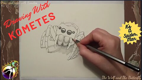 Drawing a Realistic Jumping Spider in Pencil #jumpingspider #drawingvideo #timelapseart