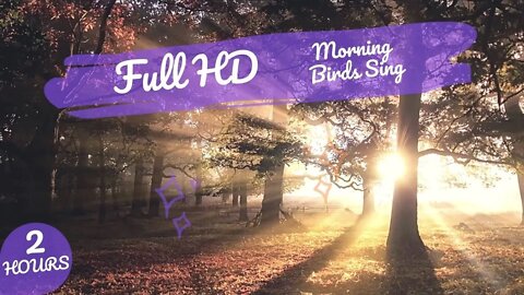 2 HOURS Full HD Morning Birds Sing At Dawn | Birdsong In The Morning Forest For Deep Sleep