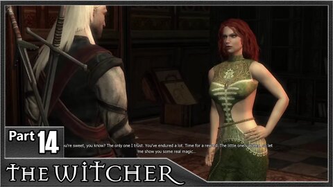 The Witcher 1, Part 14 / A Ghost Story, Gossip, Half Elf, The Source, Triss Romance