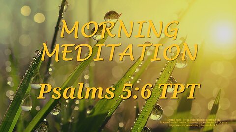 Morning Meditation -- Psalm 5 verse 6 TPT