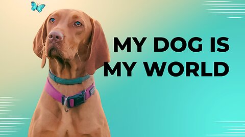 My dog is my world.