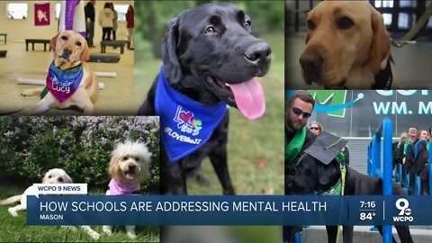 Mason City Schools using therapy dogs for program with Cincinnati Children's