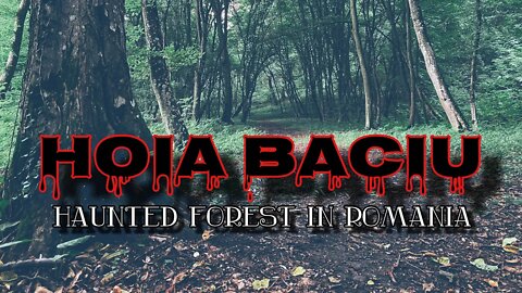 🇷🇴 I went to Hoia Baciu, The Haunted Forest in Romania 😱☠️