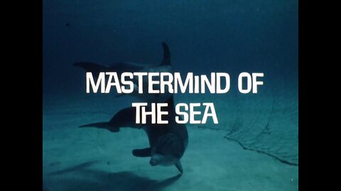 Mutual Of Omaha's Wild Kingdom - "Mastermind Of The Sea"