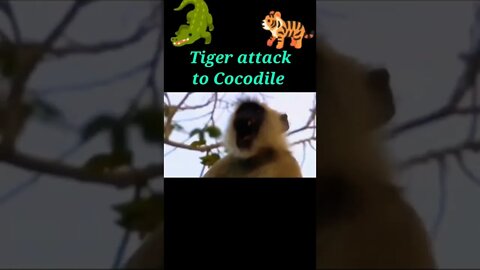 Tiger attack to Cocodile 2022 🐍#shorts #youtubeshorts