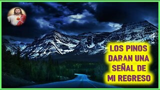 MENSAJE DE JESUCRISTO A ELIA DEL CARMEN - LOS PINOS DARAN UNA SEÑAL DE MI REGRESO