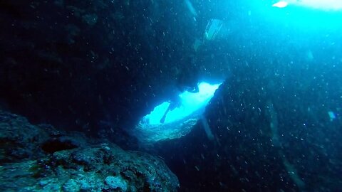 An underwater cave with horrible-looking fishes code