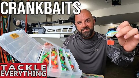 Top 5: Crankbaits (Squarebills)