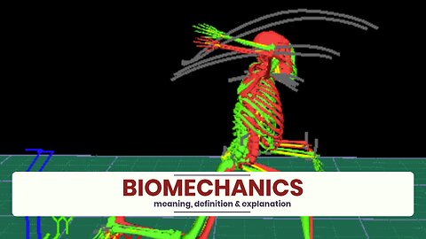 What is BIOMECHANICS?