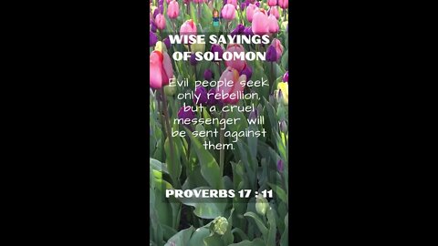 Proverbs 17:11 | NRSV Bible | Wise Sayings of Solomon