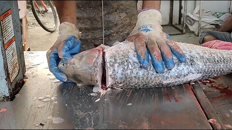 Giant Mrigal Fish Cutting By Expert Cutter l Amazing Fish Cutting Skills