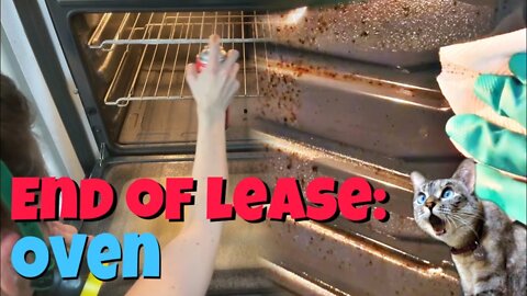 Pro OVEN CLEANING TIPS for End of Lease | Bond