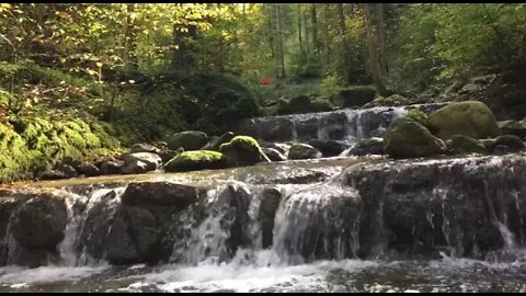 Relaxing Guitar Music with Birds Singing of Waterfall Relaxing sound.