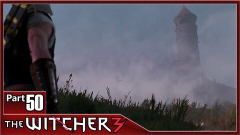 The Witcher 3, Part 50 / The Phantom of Eldberg, Black Pearl, Stranger in A Strange Land