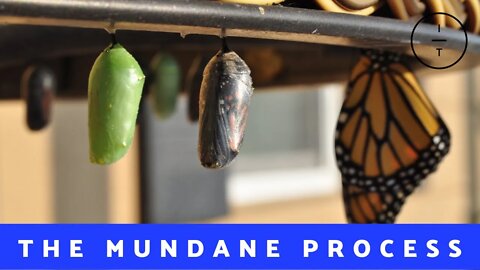 The Mundane Process | Gladia Felisme | Immanuel Tabernacle