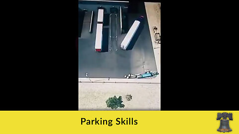 Parking Skills