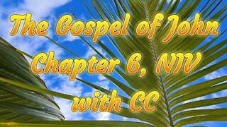 The Holy Bible - The Gospel of John Chapter - 6 - (Audio Bible - NIV)