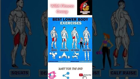 🔥Best lower body exercises🔥#shorts🔥#wildfitnessgroup🔥14 June 2022🔥