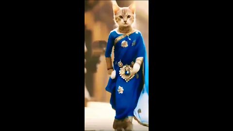 Mera Babu chel chabila main to nachugi #funny #cute #viral #fun #funnyanimals #shorts #funnyvideo