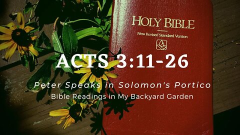 ACTS 3:11-26 (Peter Speaks in Solomon's Portico)