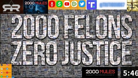 "2000 Felons & Zero Justice". A Reese Report review of Dinesh D’Souza’s 2000 Mules