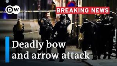 Norway: Bow and arrow attack leaves several dead | DW News