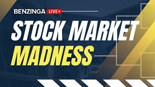 More Stock Market Madness | Benzinga Live 🚨