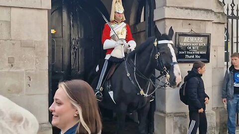 Tourist act stupid screaming 😱 #horseguardsparade