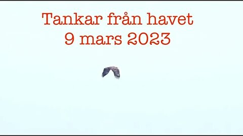 Tankar från havet 9 mars 2023