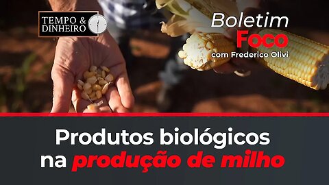 Produtos biológicos na produção de milho