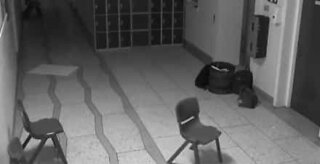 Fantasma assombra escola na Irlanda