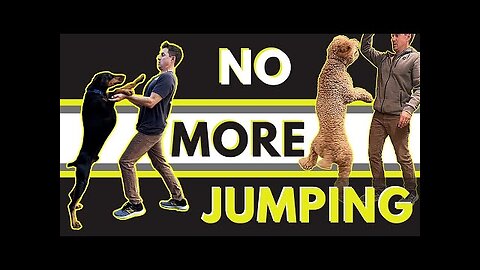 Super simple way to stop a dog from jumping.