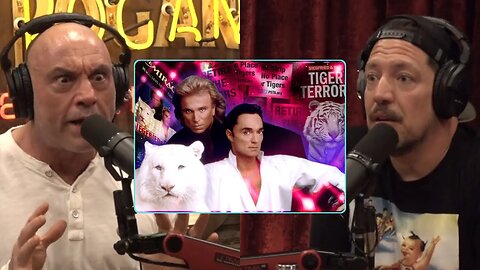 The Real Reason Behind The Siegfried & Roy Tiger Attack | Joe Rogan